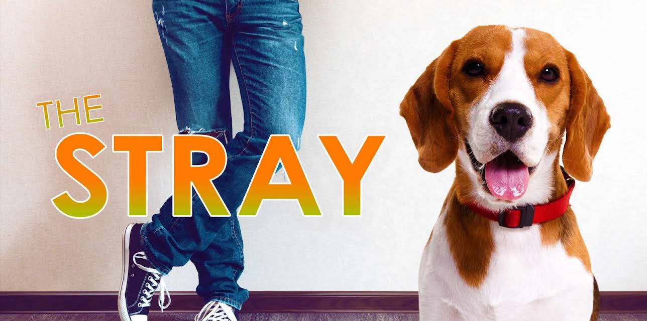 The Stray (2012)