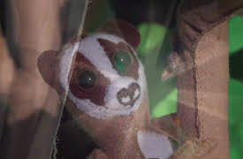 Little Woolly Vision: Twinkle Twinkle Little Star