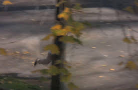 I'm Curious: Neighborhood