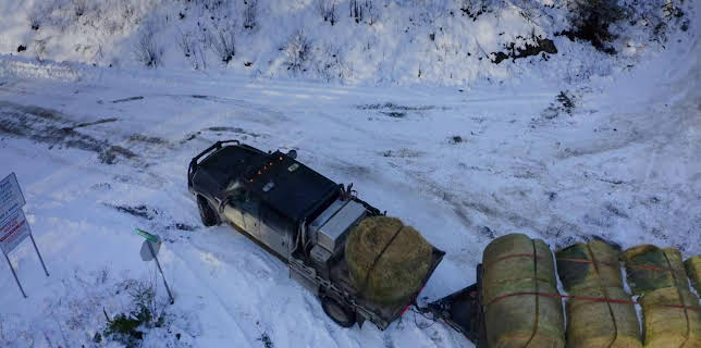 13:55: Lastbilschaufförer på småvägar (S2 E1) (S2) | TV10 | 3/20 2026