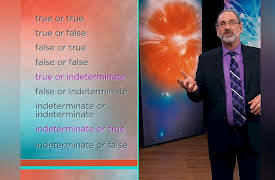 The Great Questions of Philosophy and Physics: Quantum States: Neither True nor False?