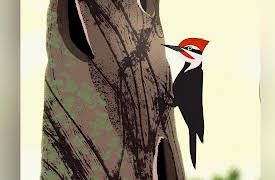 Through the Woods, Season 1: Rider and the Woodpecker