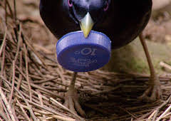 Grandes Documentales Profesiones Salvajes