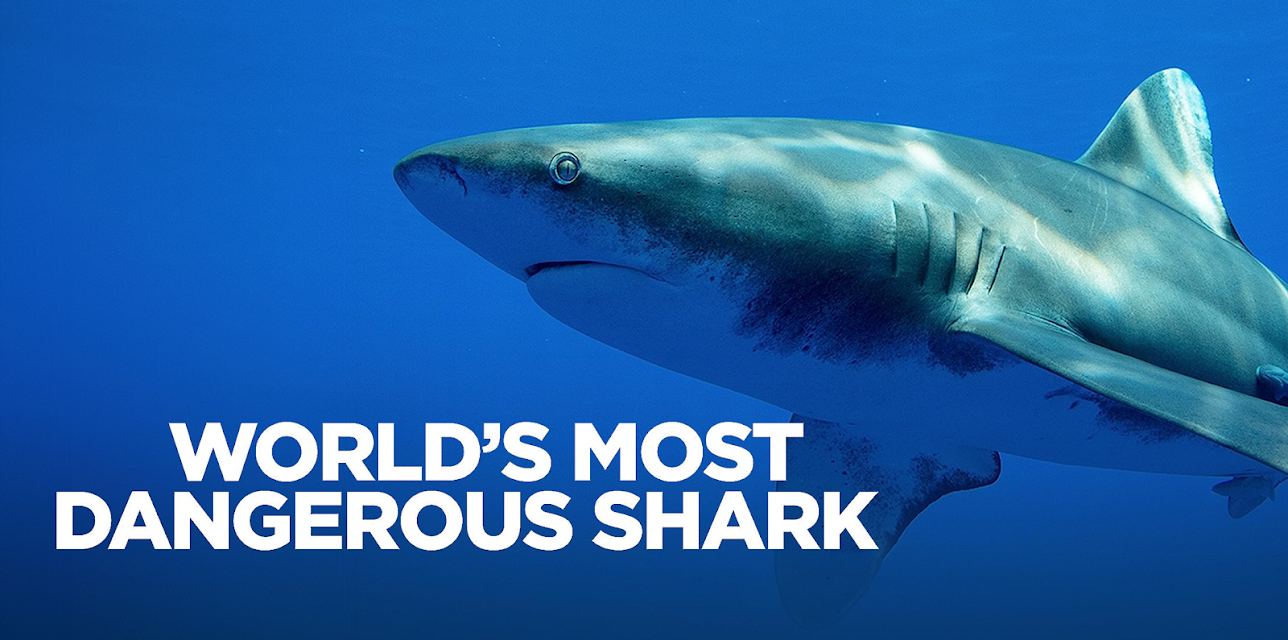 World’s Most Dangerous Shark (2019)