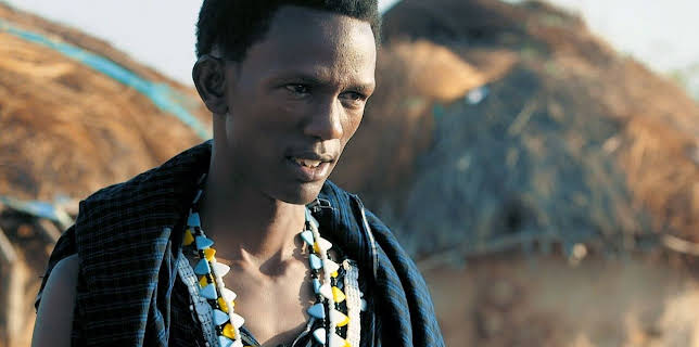 Vom Wesen der Vulkane