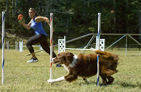 A Different Breed Season 1: It's Raining Dogs and Dogs