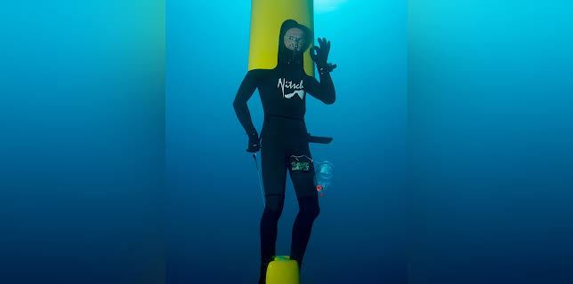 Herbert Nitsch (2013)