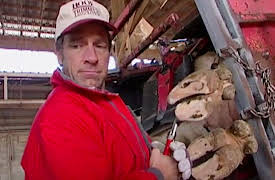 Dirty Jobs Season 1: Hoof Cleaner