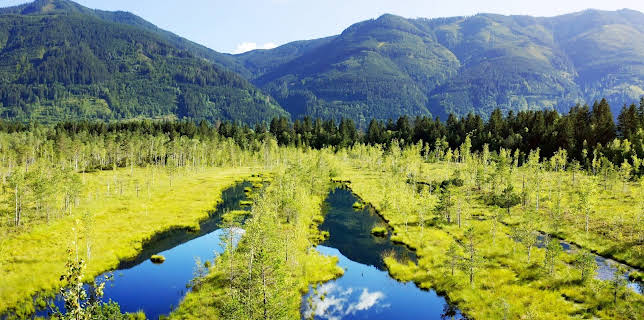 21:50: Die Macht der Moore - Wie sie unser Klima beeinflussen | 3SAT | 3/11 2026