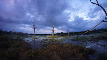 00:00: Extinct Or Alive: The Lost Shark | Animal Planet | 4/8 2026