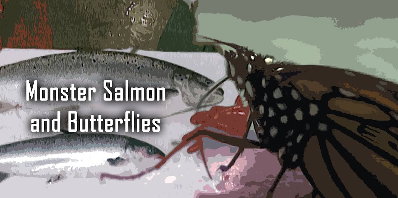 Monster Salmon and Butterflies (2010)