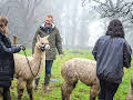 Our Family Farm Rescue with Adam Henson