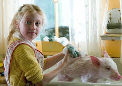 Charlotte's Web