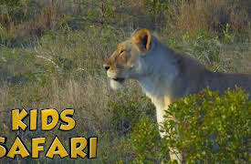 Kids Safari: The Namib