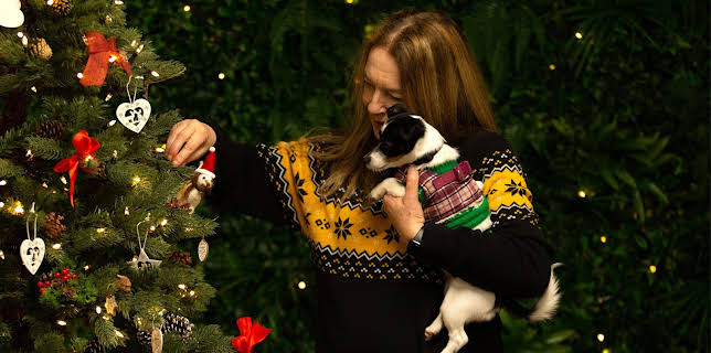 7:55 PM: The Dog House at Christmas | More 4 | 12/24 2025