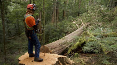 11:00 AM: The Last Woodsmen (S1) | Discovery Channel | 9/14 2026