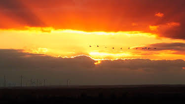 17:15: Hanseblick - So wild ist Mecklenburg | Radio Bremen | 9/26 2026