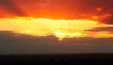 Hanseblick - So wild ist Mecklenburg