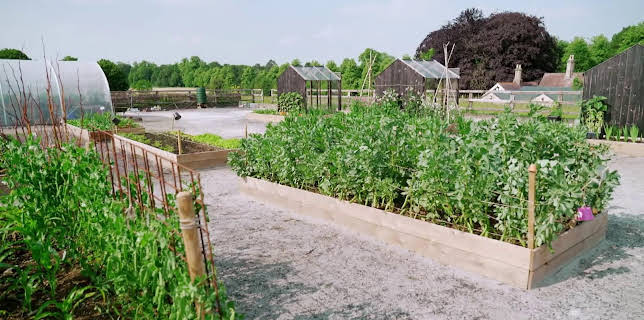 09:20: En plats på landet (S31 E47) (S31) | TV8 | 3/10 2026