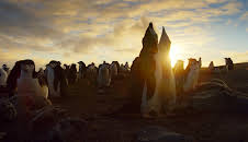 Eine Erde - viele Welten