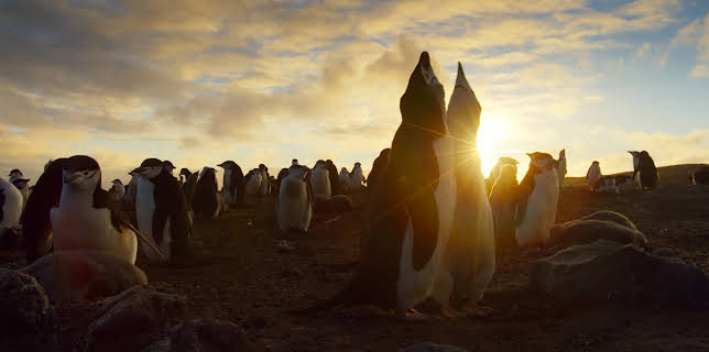 06:35: Eine Erde - viele Welten | ZDFneo | 11/22 2025
