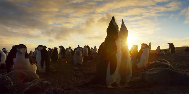 Eine Erde - viele Welten
