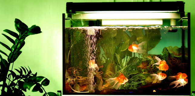 19:20: How It's Made (S24 E24) (S24) | Discovery Science | 11/2 2025