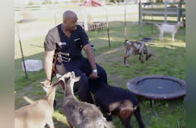 The Vet Life Season 1: No Goats, No Glory