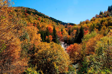 04:45: Amerikas Naturwunder: Die Great Smoky Mountains | 3SAT | 7/5 2026