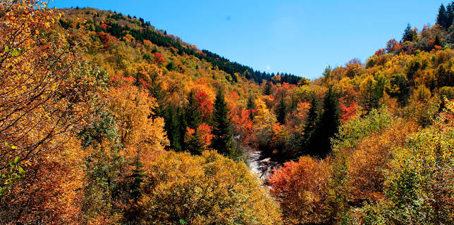 16:05: Amerikas Naturwunder (5/8) | 3SAT | 12/18 2025