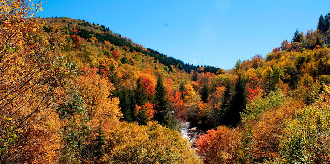 Amerikas Naturwunder (5/8)