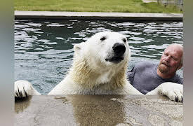 Preposterous Pets Season 1: Lions and Bisons and Bears!