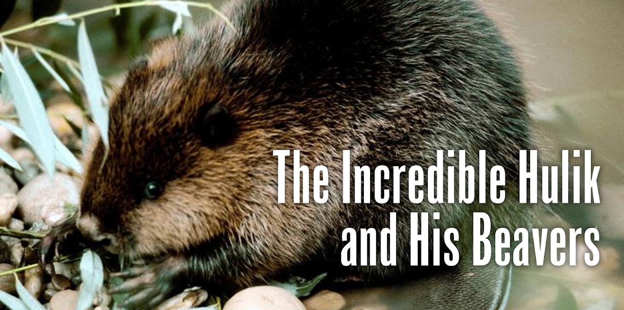 The Incredible Hulik and His Beavers (2002)