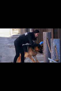 10:51: Hudson y Rex (T1): Ep.14 Un hombre importante | AXN | 4/6 2026