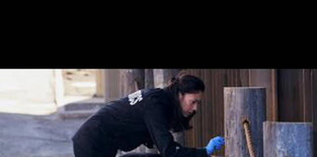 10:09: Hudson y Rex (T1): Ep.14 Un hombre importante | AXN | 1/10 2026