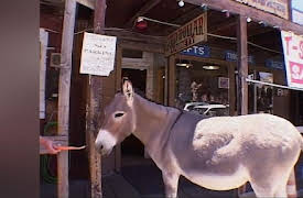 Great Drives: Route 66