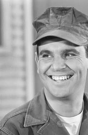 Ronnie Schell as 