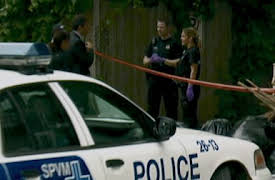 Tassarna bort från katterna: Nätjakten på en mördare: 1 galning, 1 ishacka