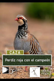 08:30: Perdiz roja con el campeón | Caza y Pesca | 2/27 2026