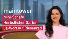 maintower