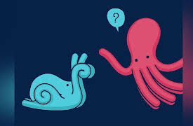 Vooks Storytime: Animated Kids Books: Fourteen Animals That Are Definitely Not an Octopus