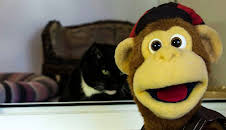 Milkshake! Monkey (S3 E6)