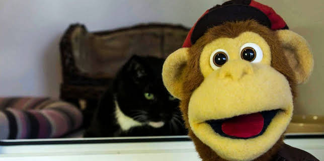 9:05 AM: Milkshake! Monkey (S3 E6) (S3) | Channel 5 | 1/16 2026