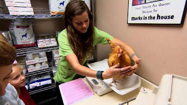 2:00 PM: Dr. Jeff: Rocky Mountain Vet (S2) | Discovery Channel | 7/21 2026