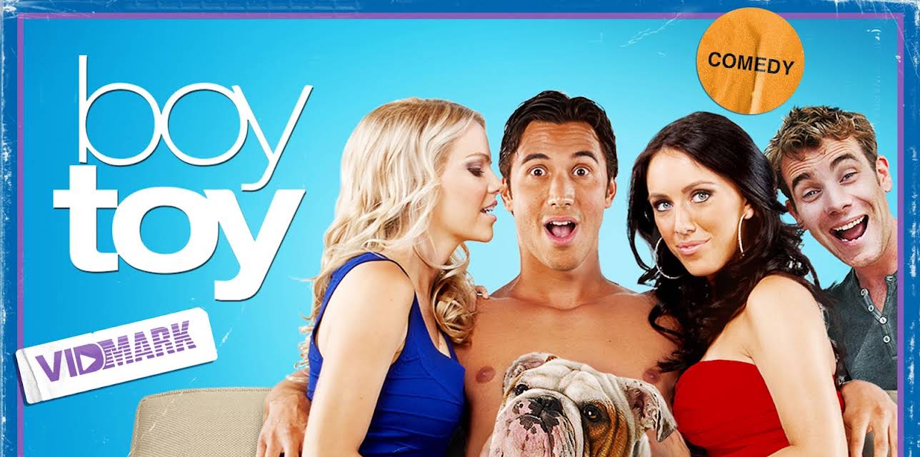Boy Toy (2011)