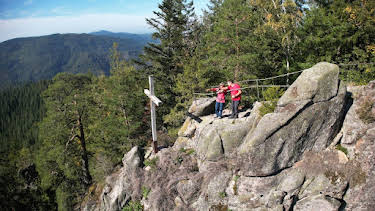 03:50: Expedition in die Heimat | SWR Fernsehen BW | 5/8 2026