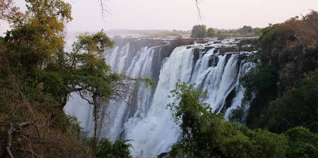 13:05: Fish or Die (S1 E2) (S1) | Animal Planet | 11/10 2025