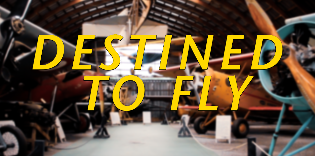 Destined To Fly (2017)