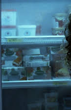 Helena Albergaria as 