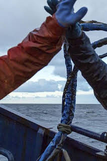 18:43: Pesca radical: Abajo en llamas | Discovery Max | 9/16 2026